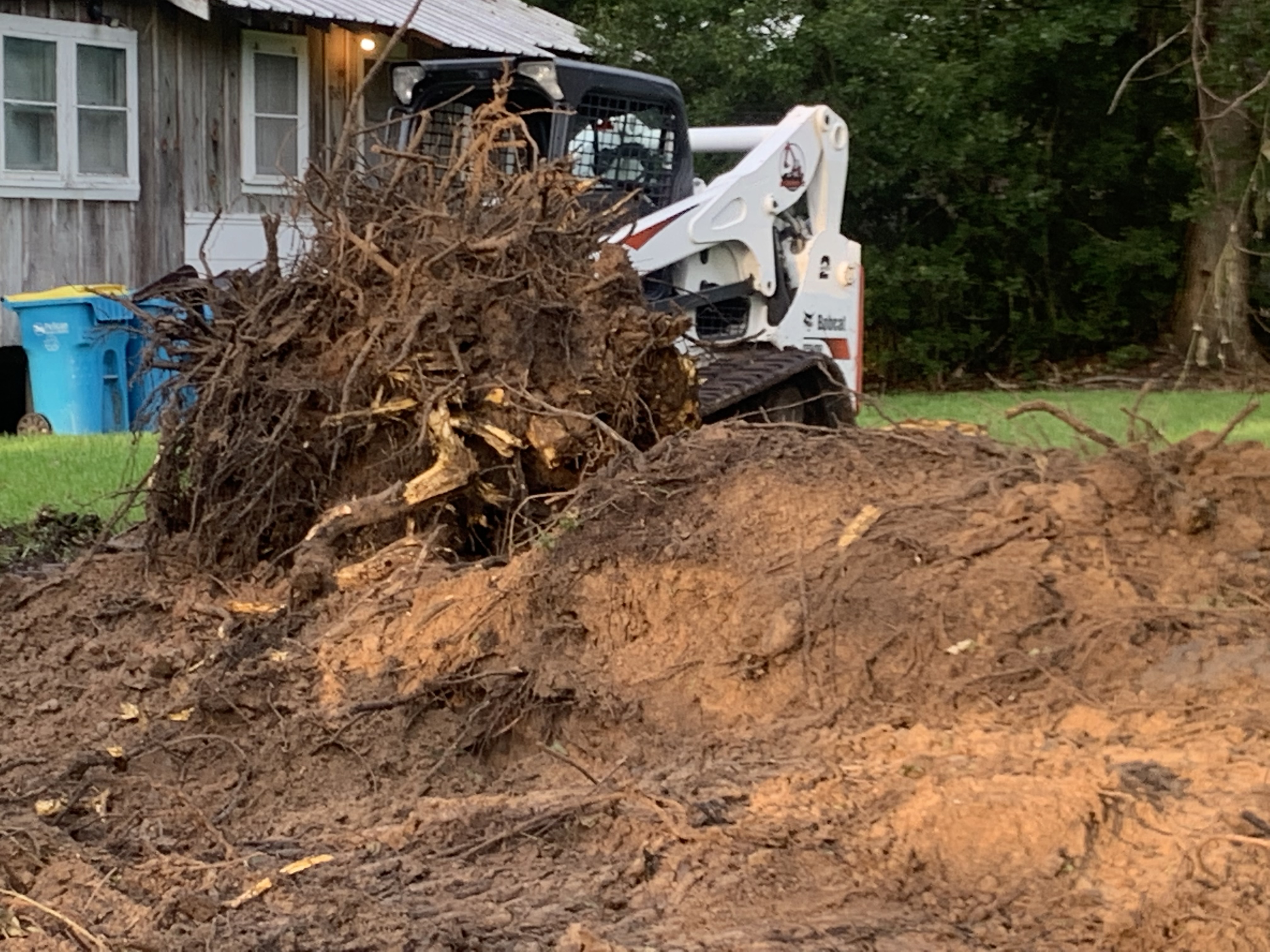 Stump Removal DM Dirt Worx LLC